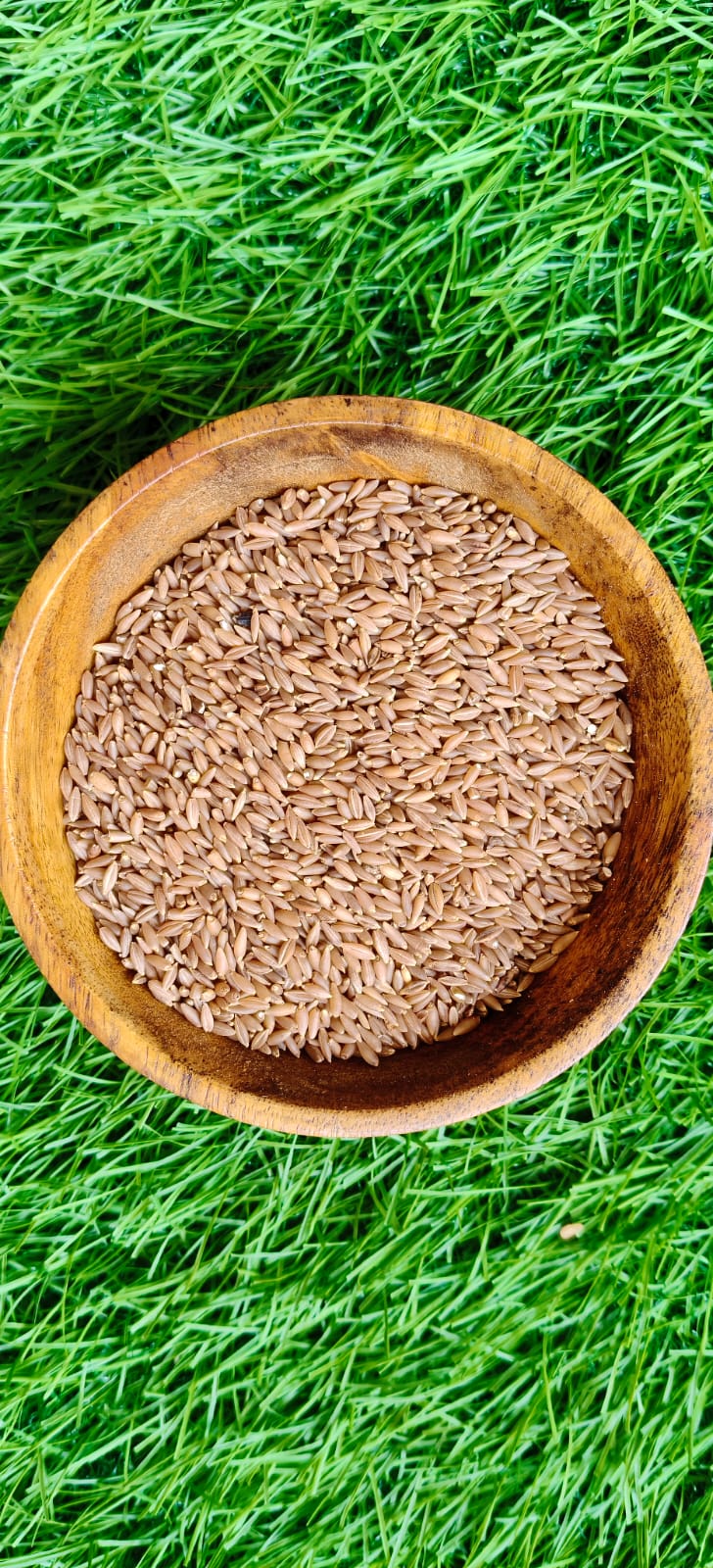 RAS Millets – Bamboo Rice (Moongil Arisi)