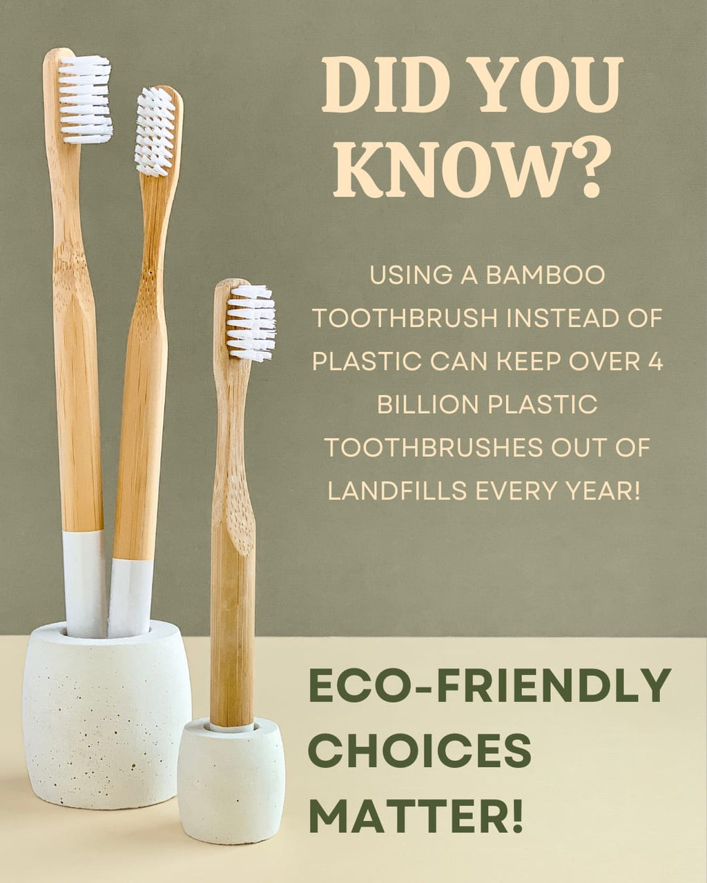 🪥 Veru Bamboo Family Pack – Bamboo Toothbrush Set