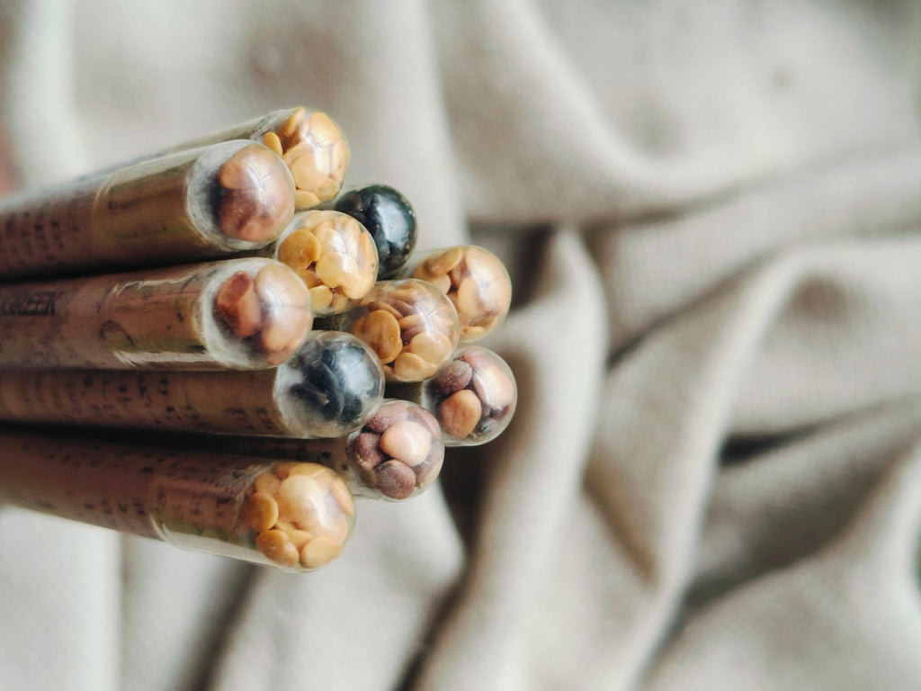 Veru Plantable Seed Pencil – Set of 4